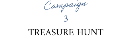 Campaign1 LIMITED ITEMS