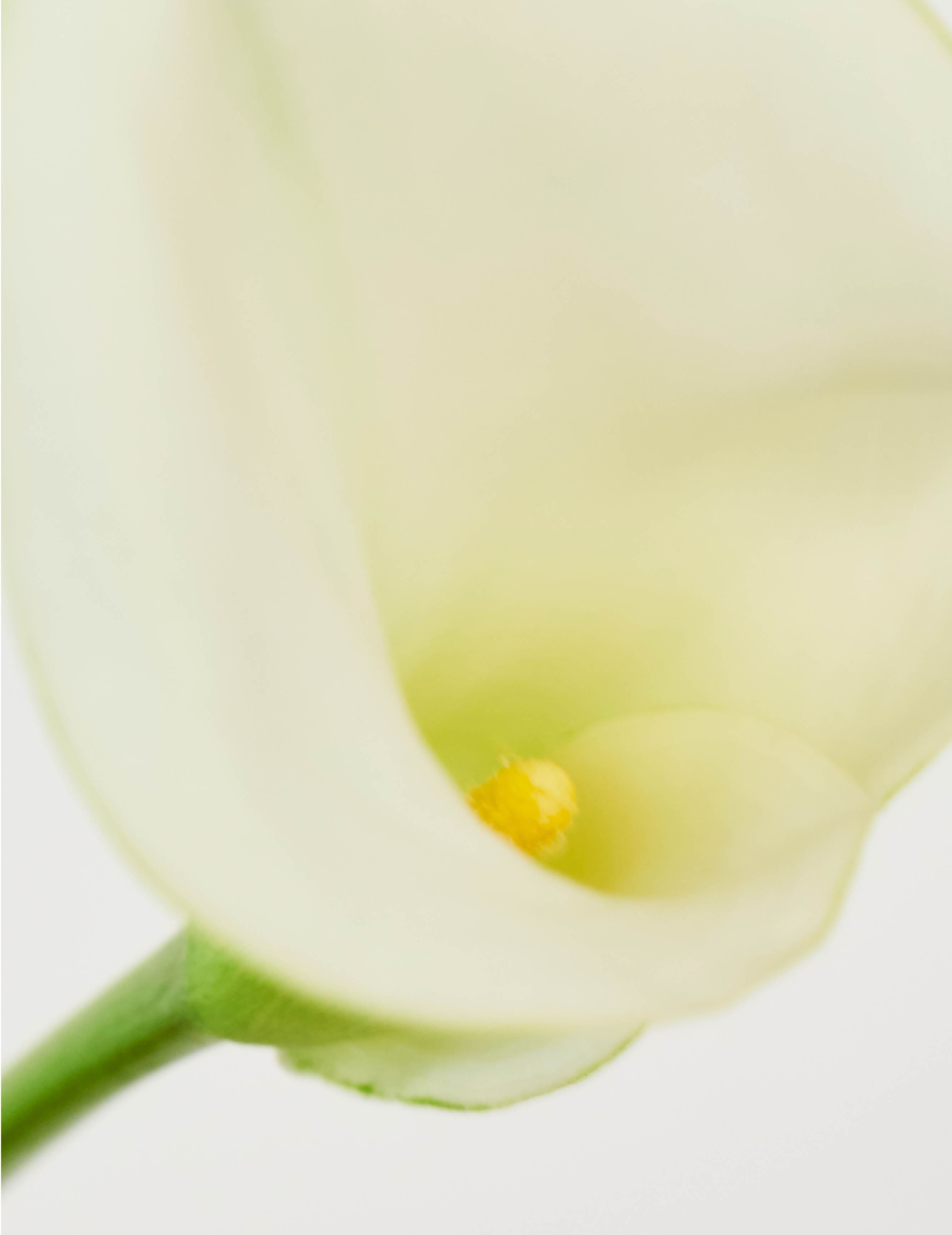 PC Image