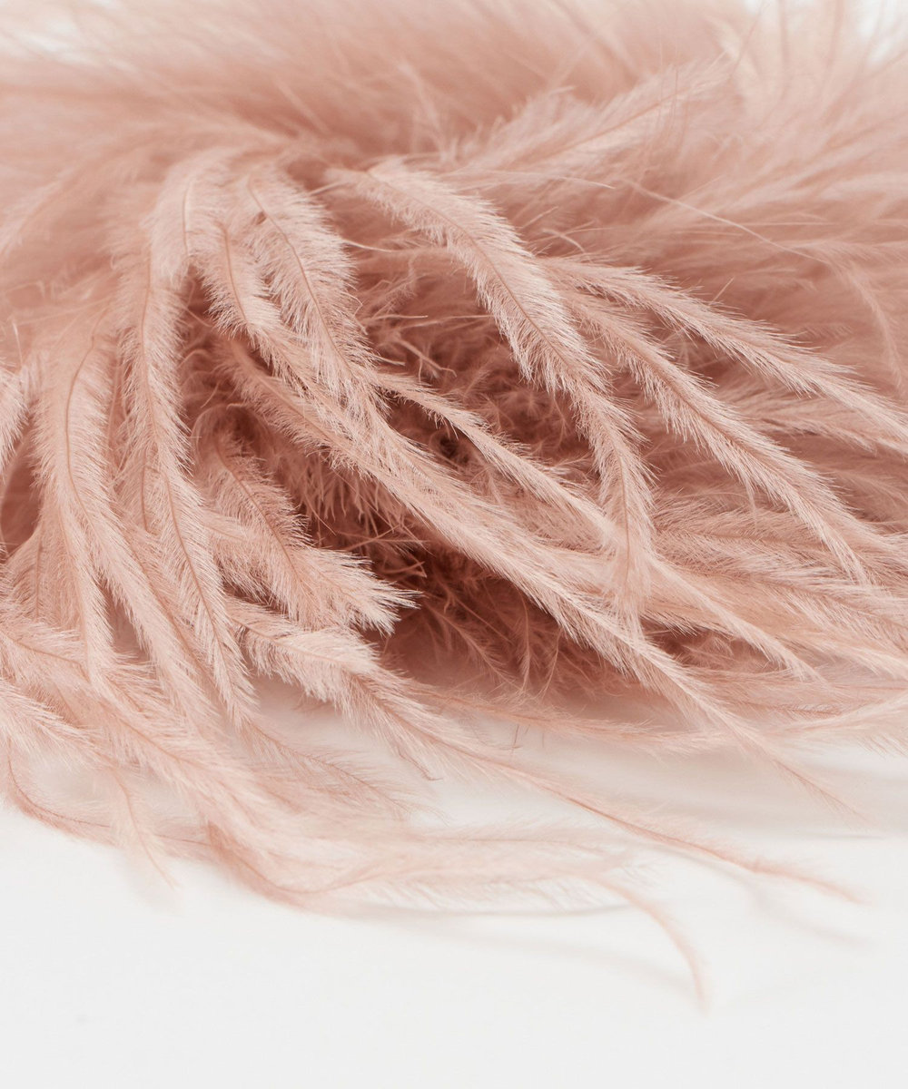buying 【EXQUISITE J(エクスクィイジットジェー)】FEATHER BROOCH ピンクベージュ (13)