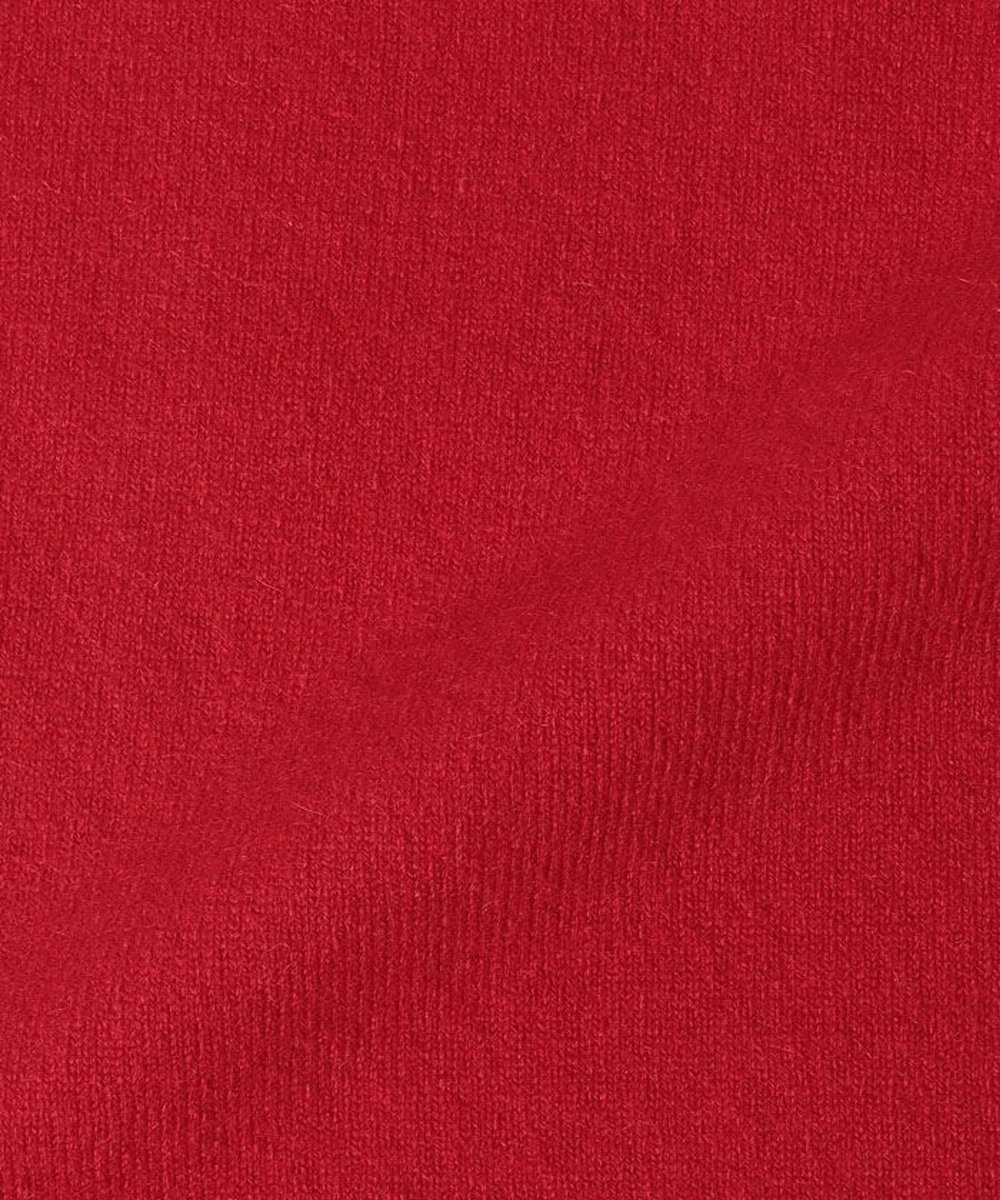 buying 【extreme cashmere(エクストリームカシミヤ)】 BELT レッド (43)