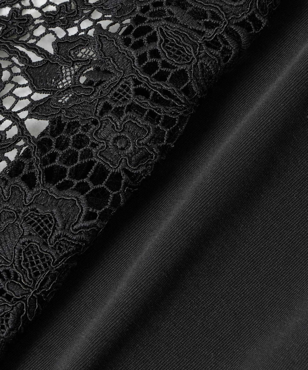 LOULOU WILLOUGHBY 【LOULOU WILLOUGHBY】レースドッキングプルオーバーブラウス ブラック (95)