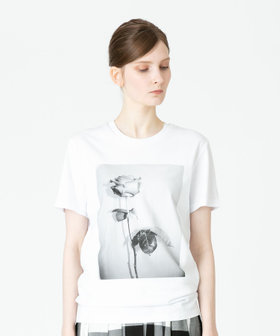 LISA KING PROTEA TEE|ANAYI OFFICIAL ONLINE STORE｜アナイ