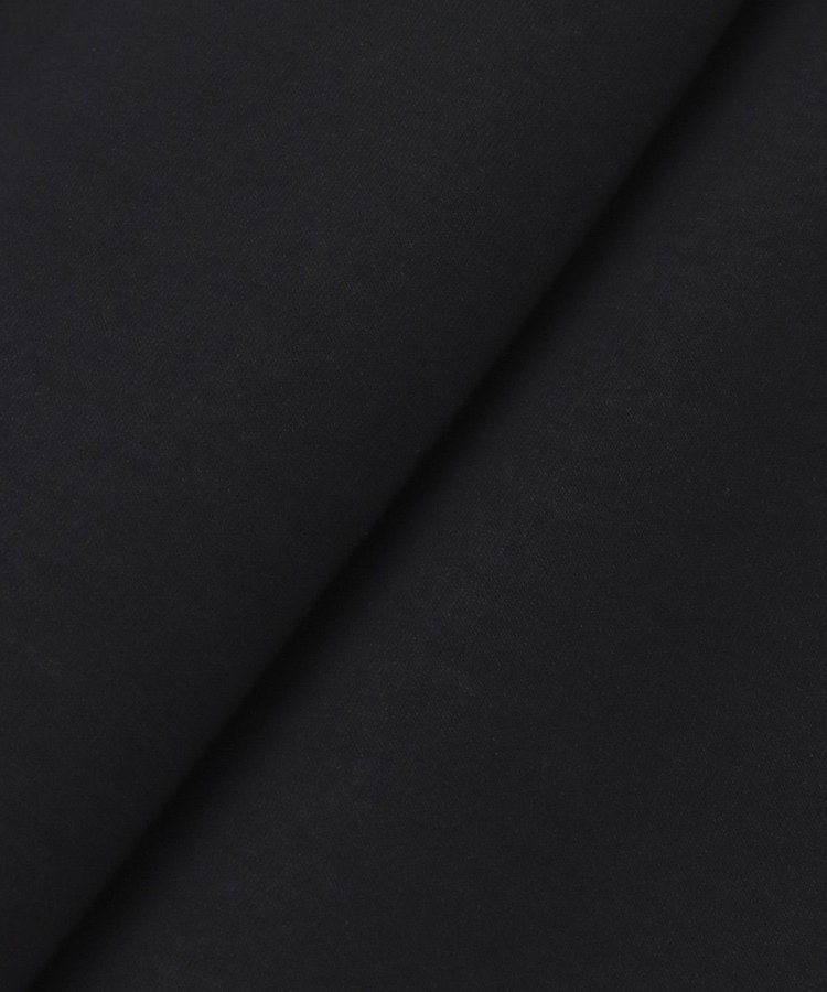 allureville ハーフＺＩＰプルオーバー ブラック (95)